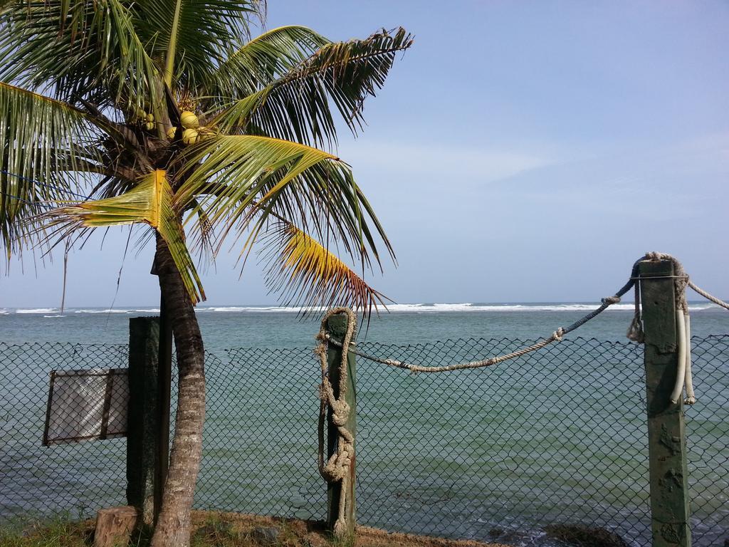 Sayuri Beach Hotel Matara Extérieur photo